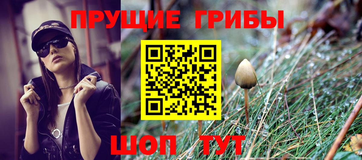 МЕФ Кинешма