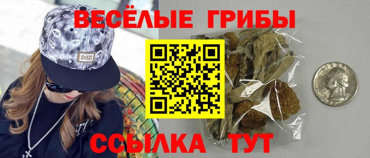 Кинешма  Псилоцибиновые грибы Cubensis  Вход с VPN 