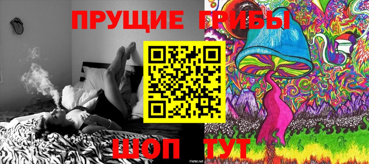 Галлюциногенные грибы Psilocybe Кинешма
